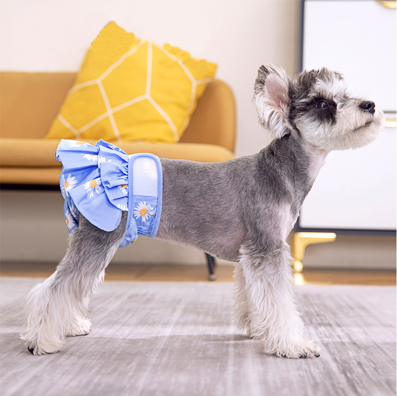 柯基狗狗生理裤中大型犬月经裤半身安全裤宠物姨妈巾金毛拉布拉多