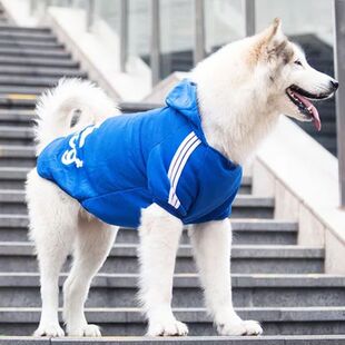 狗狗衣服柯基春秋装 泰迪犬宠物衣服幼犬卫衣中小型犬加绒宠物衣服