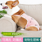 泰迪 女狗母狗柯基防交配神器例假卫生裤 宠物狗狗夏季 姨妈巾生理裤