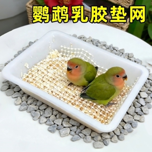 鹦鹉垫网幼鸟站网通用可裁剪养殖雏鸟专用不伤脚防滑垫超软乳胶垫