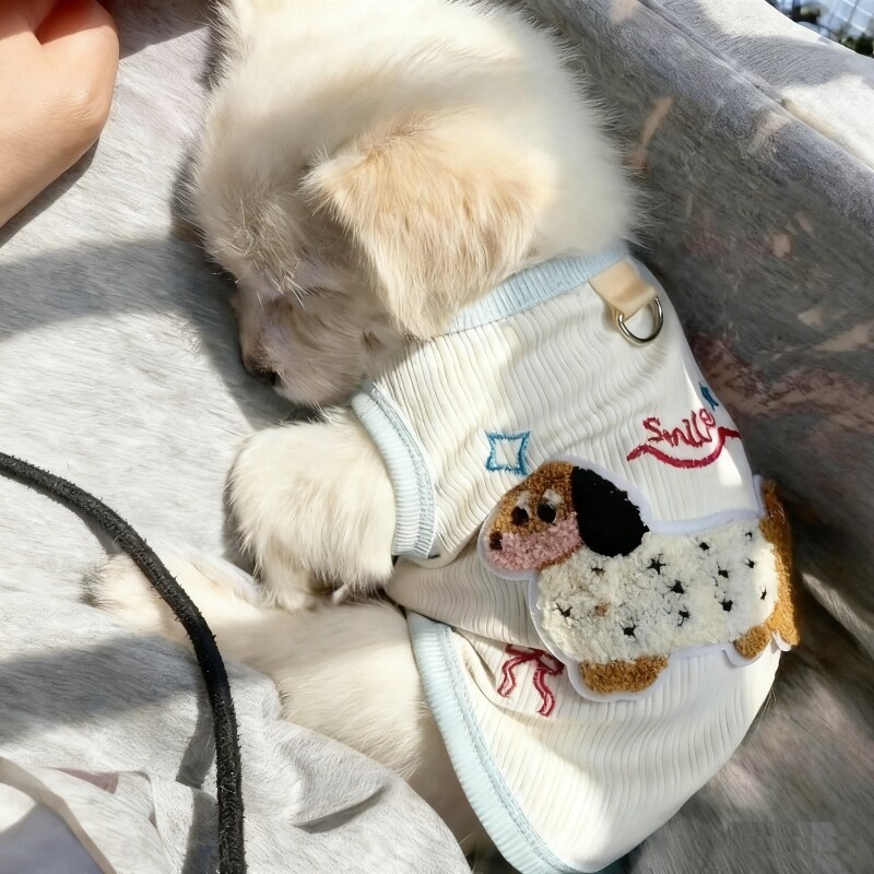 小体比熊衣服吉娃娃泰迪法斗图片
