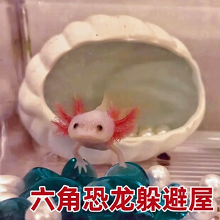 六角恐龙躲避屋陶瓷小宠乌龟蝾螈专用躲藏睡窝观赏鱼用品鱼缸造景