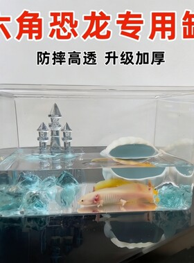 六角恐龙专用小型生态鱼缸