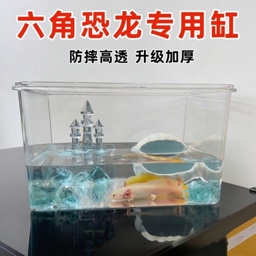 六角恐龙专用小型生态鱼缸