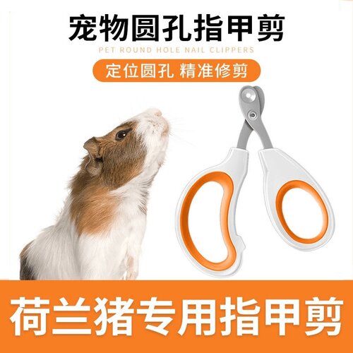 荷兰猪指甲剪防出血小宠用品豚鼠花枝鼠专用圆孔剪指甲刀磨甲神器