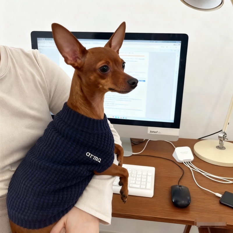 小鹿犬专用衣服吉娃娃小型犬小体比熊迷你杜宾狗狗秋冬季加厚卫衣