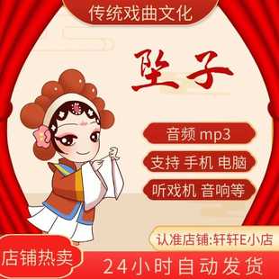 河南坠子音频下载听戏机播放mp3打包素材全套下截 13G 609部
