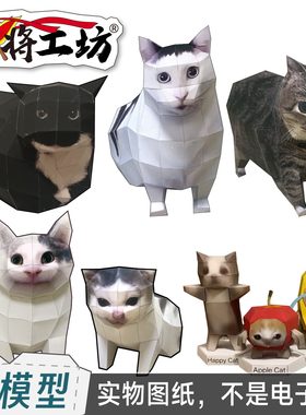 oiiai猫meme纸模型图纸huh猫Maxwell猫旋转疑惑苹果香蕉猫手工DIY