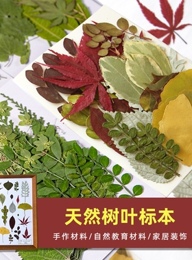 干花植物标本天然手作DIY材料