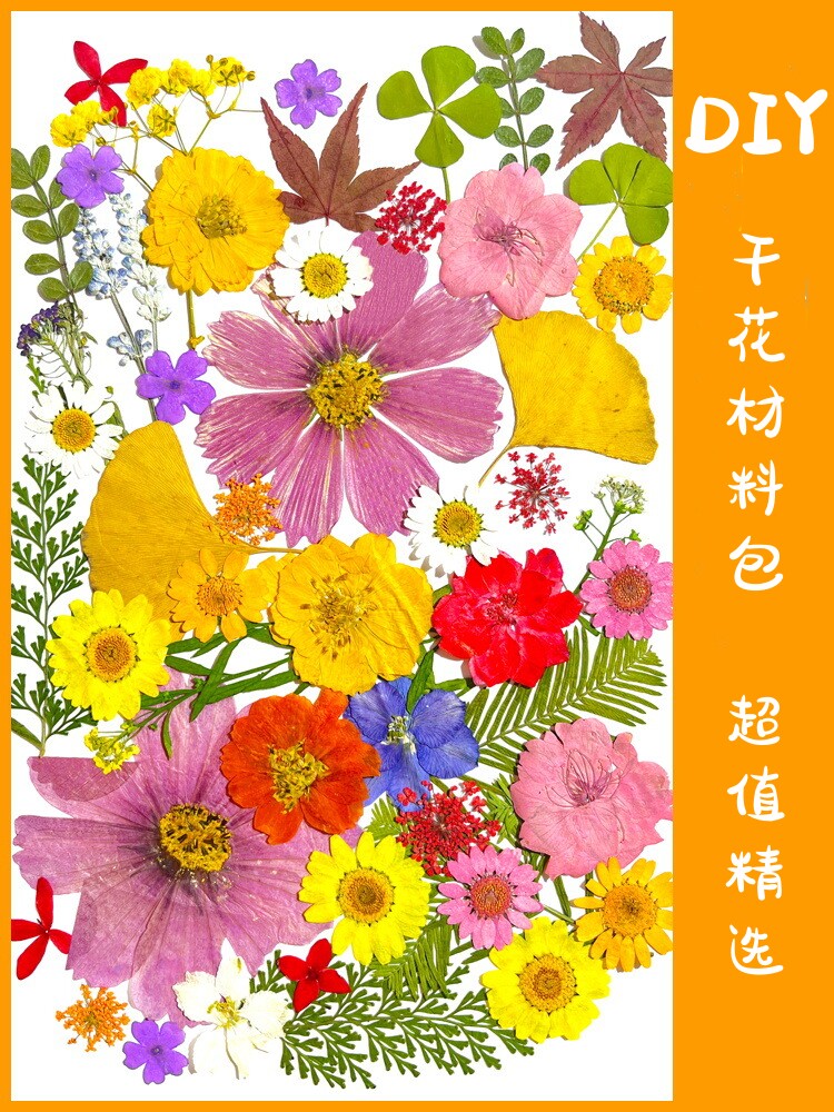 DIY干花书签小清新自制心愿瓶