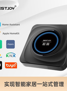 学HA用超脑homeassistant-AI主机