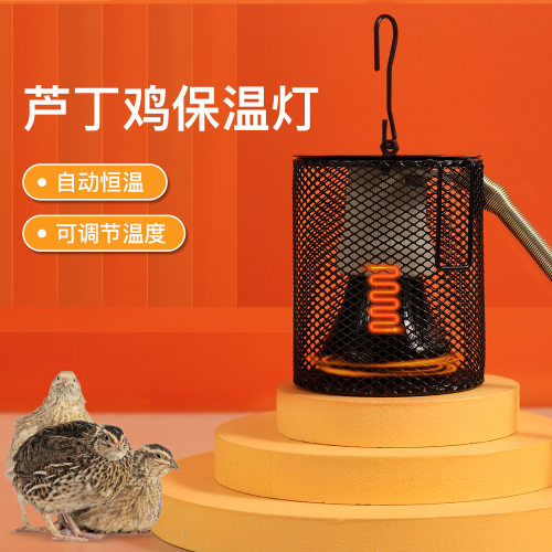 芦丁鸡饲养箱陶瓷加温器温控器