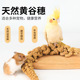 芦丁鸡黄谷穗零食棒天然粮食宠物鸡零食食用品育雏产蛋鸡食小米穗