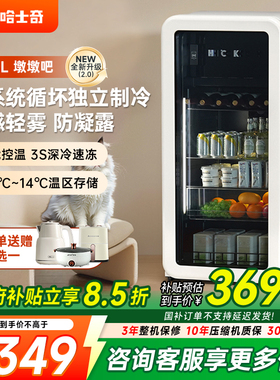 HCK哈士奇冰吧墩墩吧2.0冷冻冷藏柜家用客厅小型饮料小复古冰箱