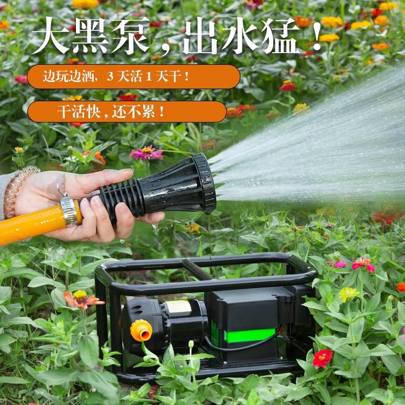 新款充电式抽水泵抽水机农田用灌溉电瓶浇水机浇菜浇地农业大包邮