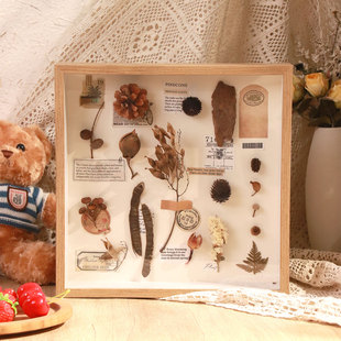 中空相框摆台DIY植物标本框干花树叶立体保存展示框创意装饰画框