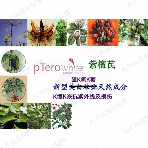 美国SABINSA紫檀芪油溶醇溶 强K氧K糖焱亮白K缞促胶原防UV原料