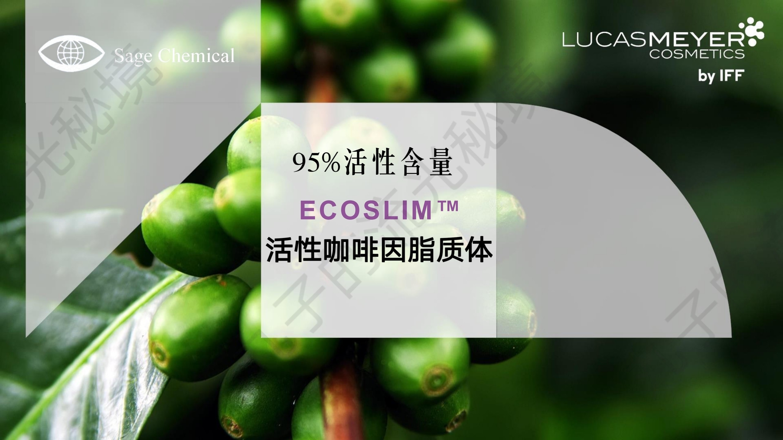 加拿大水溶脂质体95%咖啡因眼袋水肿黑眼圈 脂解 育*发原料紧致