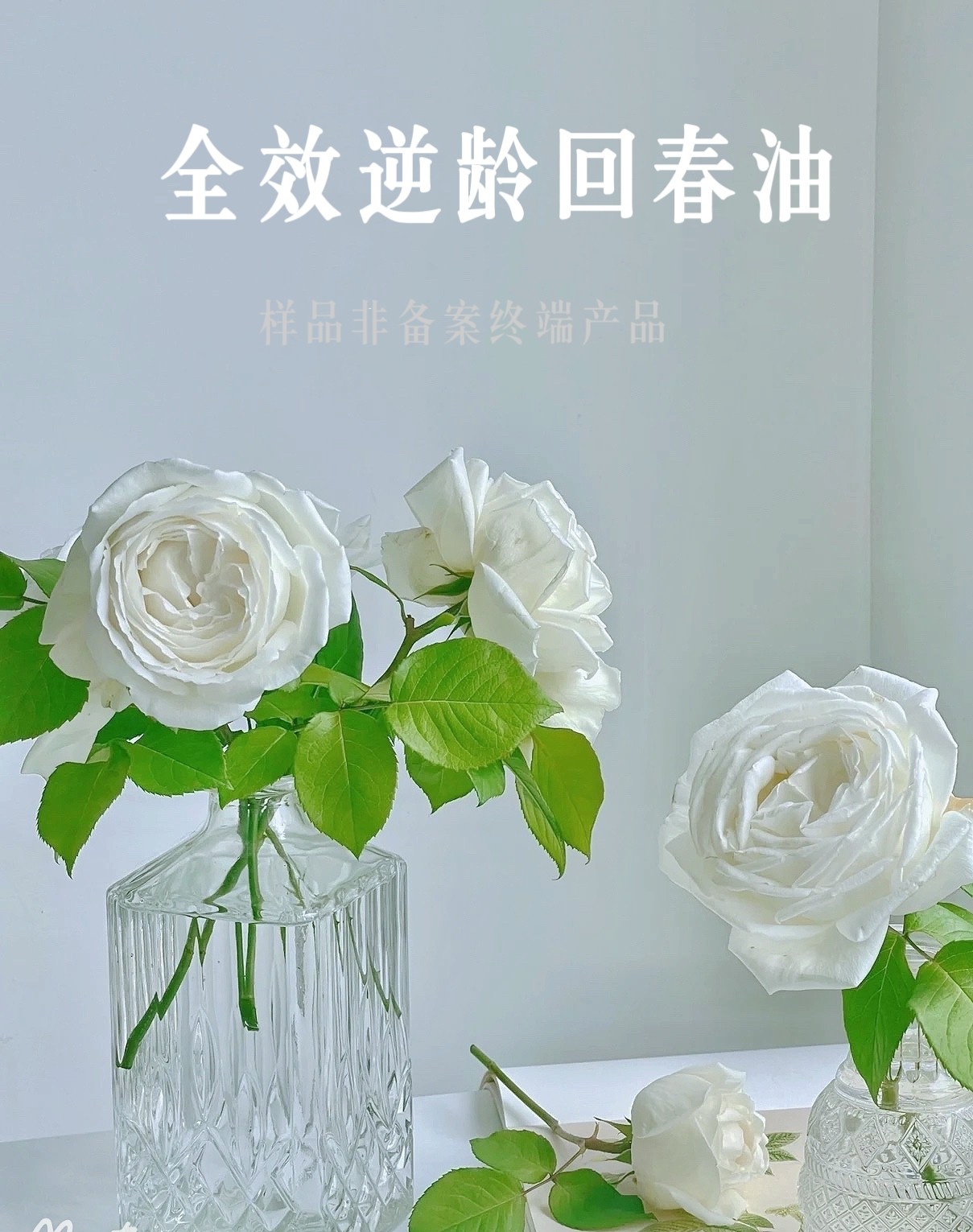 本店经典配方 逆龄回春精华油样品 紧致提升淡纹K缞 稳定皮肤屏障