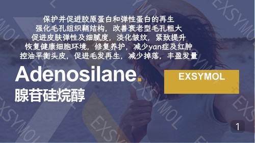 法国爱西美腺苷硅烷醇 修复促胶原缩毛孔紧致 促发量养护毛囊原料