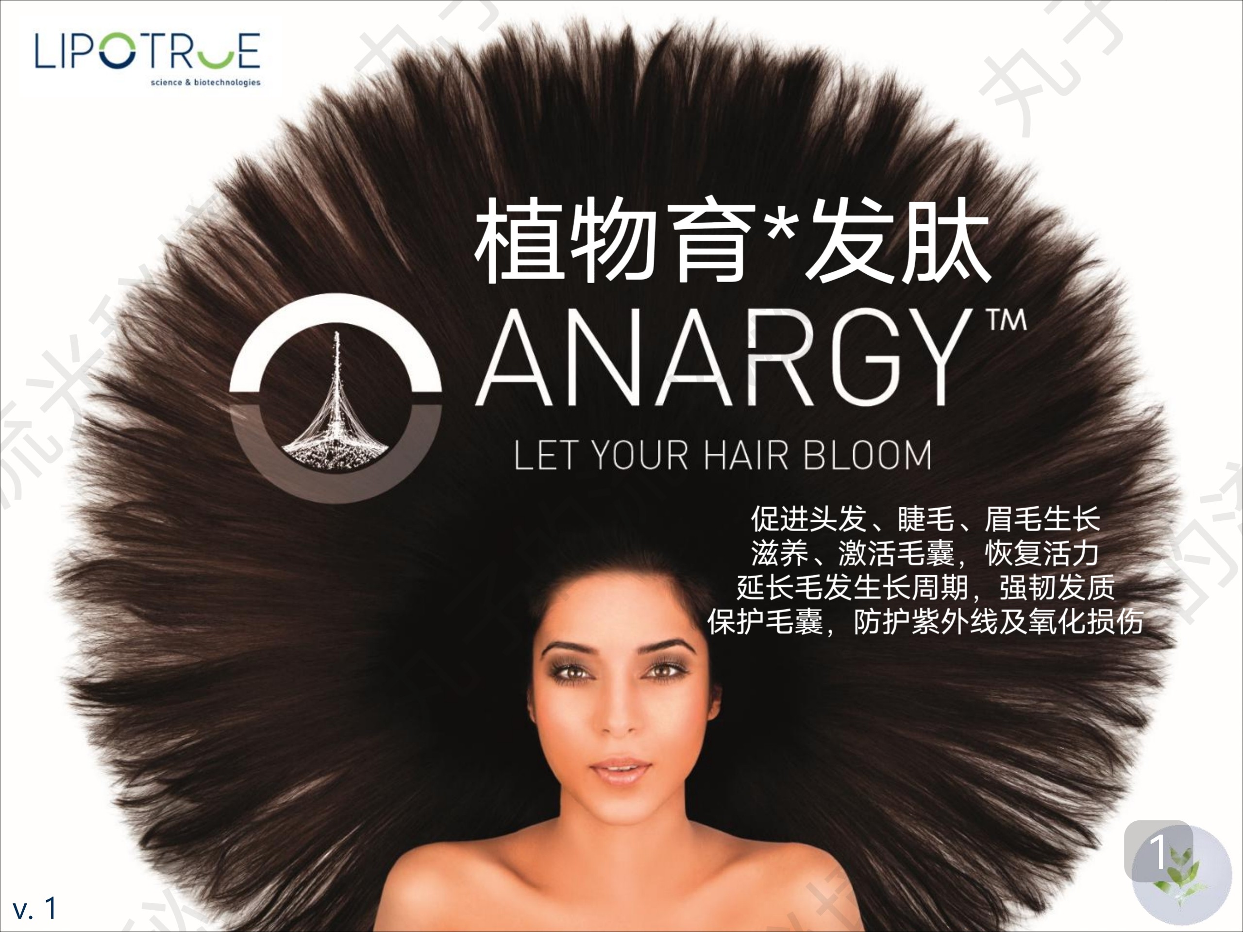 西班牙LIPOTRUE植物育.发肽 激活毛囊促毛发生长减少掉发护发原料