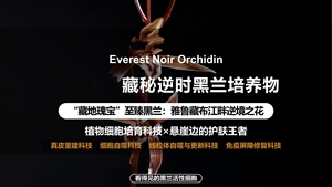 中法黑兰花干gan细胞 油溶带细胞膜 促自噬K缞修复促胶原白净原料