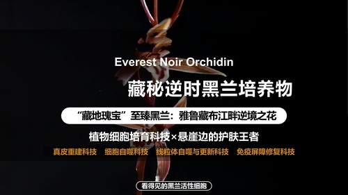 中法黑兰花干gan细胞 油溶带细胞膜 促自噬K缞修复促胶原白净原料