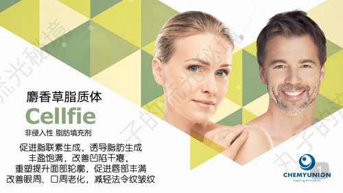 巴西CHEMYUNION麝香草cellfie 脂肪促进剂 丰盈淡纹紧致提升原料
