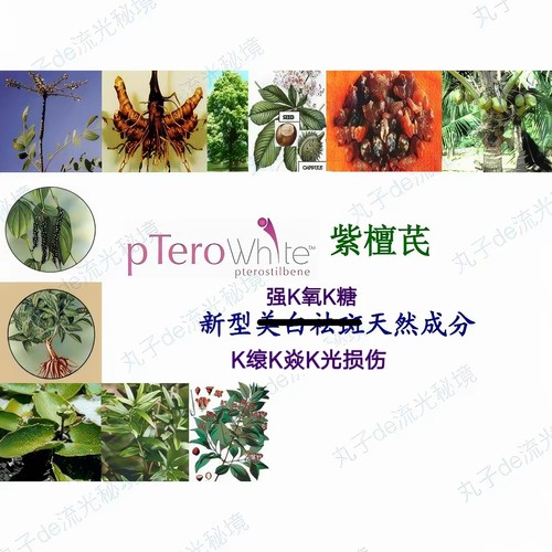 美国SABINSA紫檀芪油溶醇溶 强K氧K糖焱亮白K缞促胶原 护肤原料