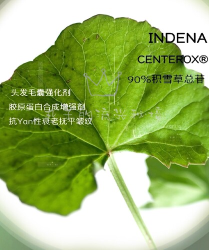 瑞士奇华顿90%积雪草总苷 淡色沉K燚舒缓胶原增进K缞原料增发止脱