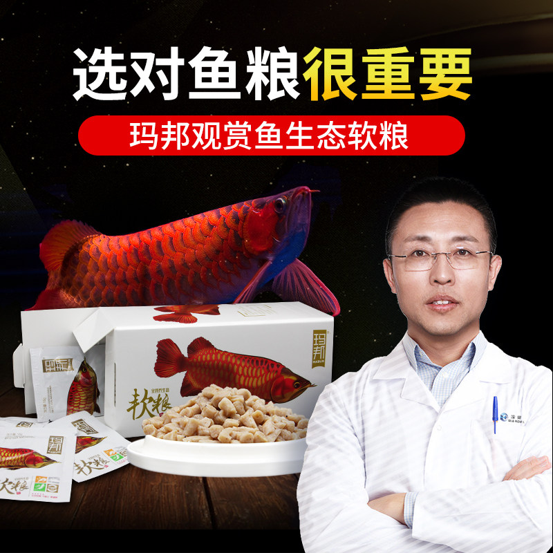 金龙红龙专用高蛋白生态鱼粮