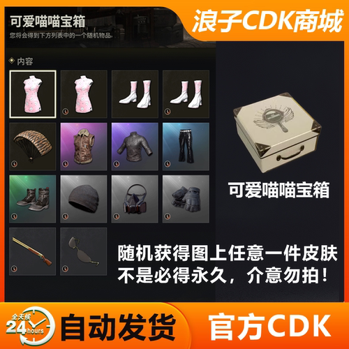 PUBG可爱喵喵宝箱CDK兑换码