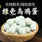 农家散养正宗绿壳乌鸡蛋新鲜土鸡蛋乌鸡蛋
