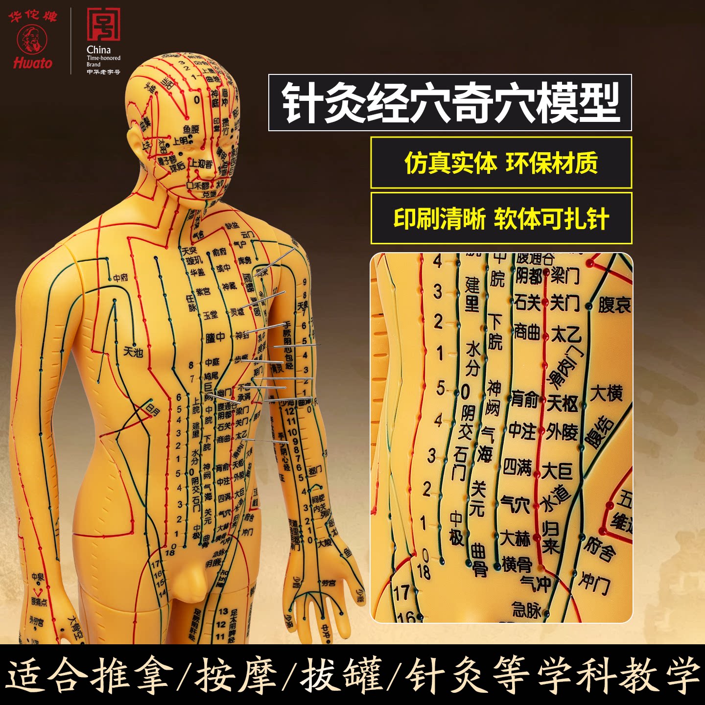 华佗牌针灸穴位人体模型可扎针经络全身大图小铜人练习模特仿真人