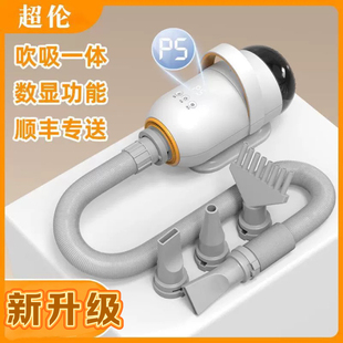 大功率猫咪狗狗洗澡吹吸一体多功能宠物吹水机大型犬烘干吹风机