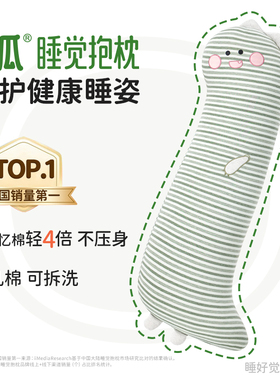 乐瓜恐龙睡觉抱枕侧睡夹腿靠枕床上专用女生成人冰丝凉感长条枕头