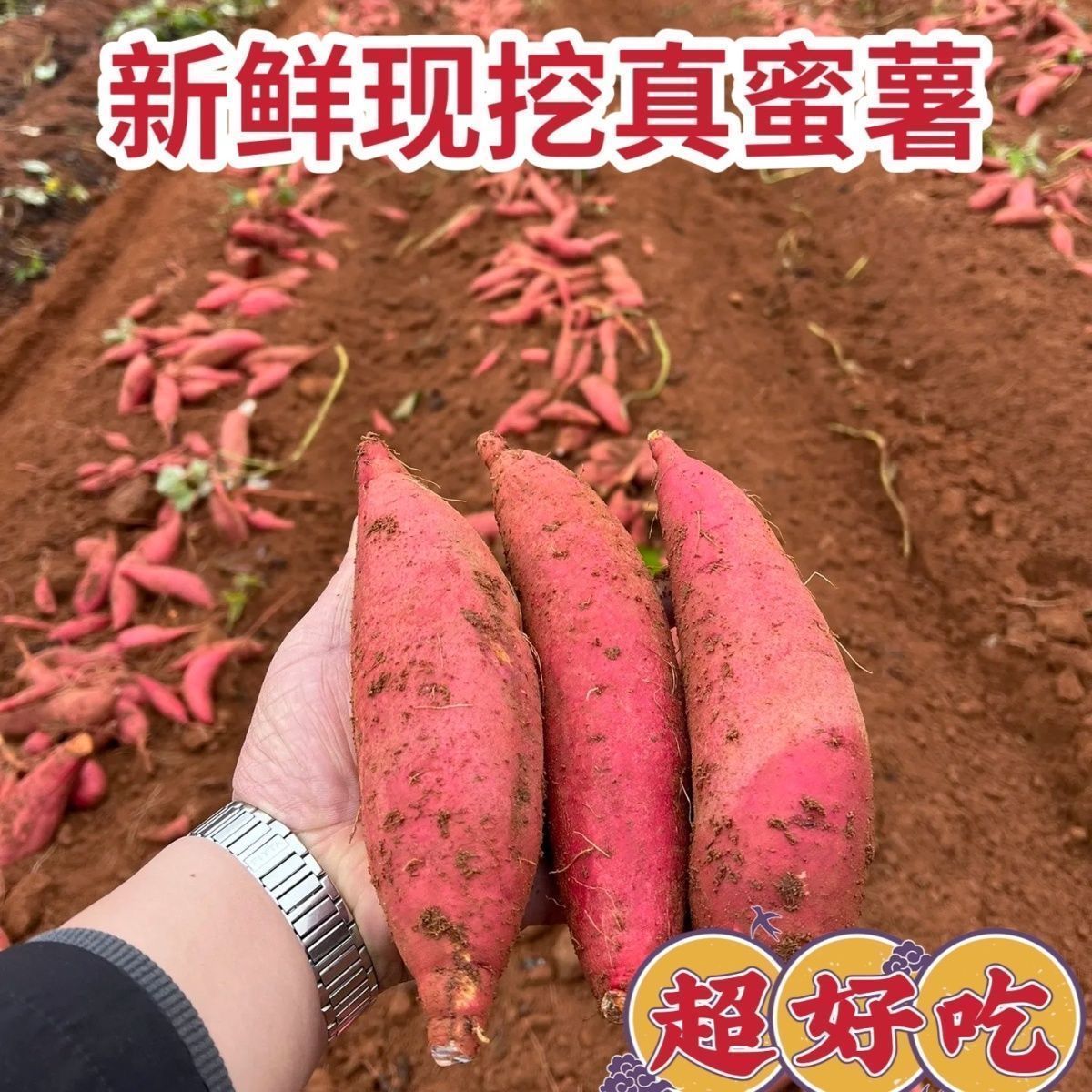 26年正宗河南农家自种西瓜红红薯新鲜现挖地瓜农家自种番薯