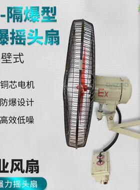 新款BTS-500 BTS-600 BTS-750防爆摇头扇380V落地壁式工包邮