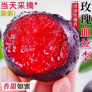 血丝李新鲜李子应当季现摘红心李子黑布林红肉恐龙蛋