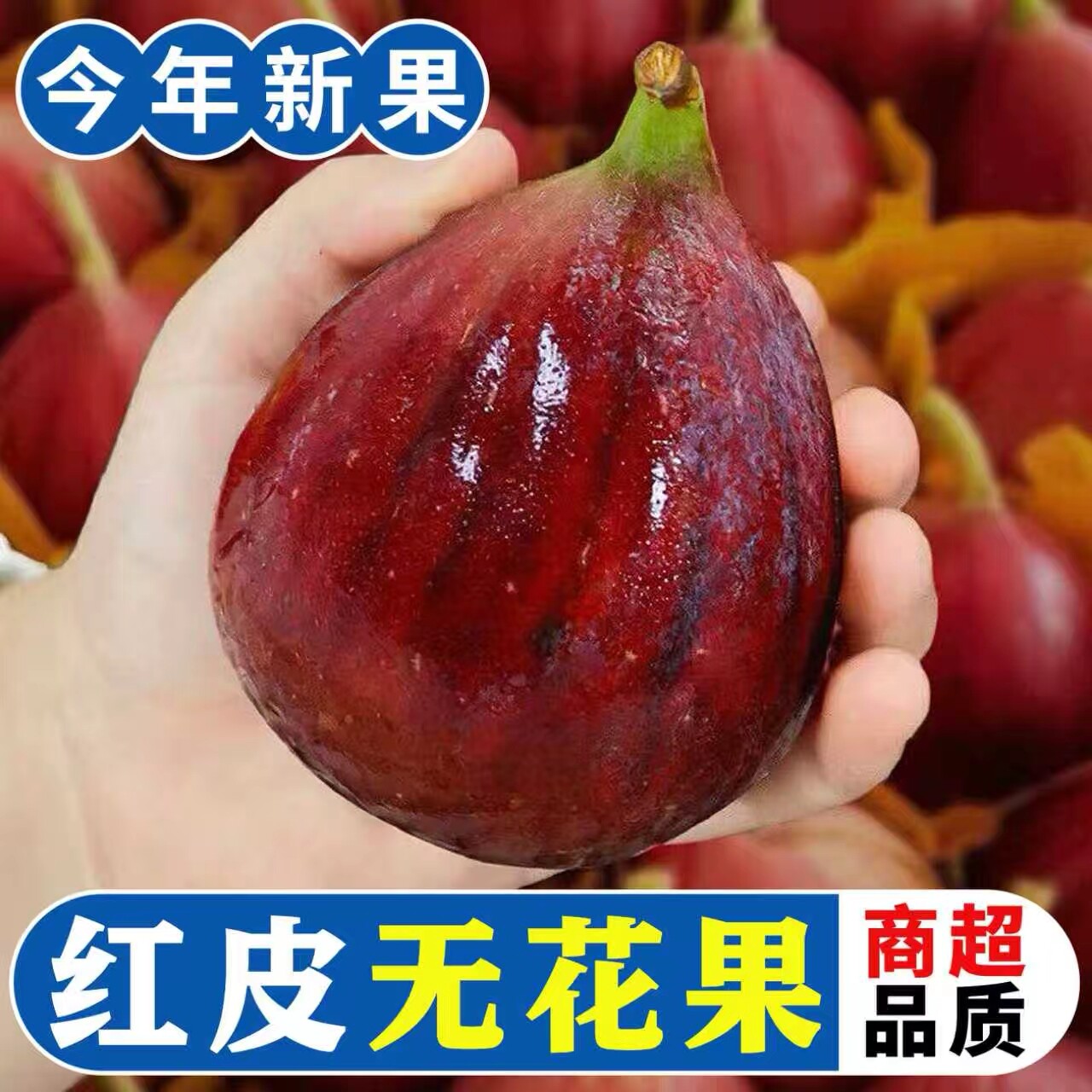 新鲜红皮无花果鲜果新鲜水果云南糖包子特大果孕妇一整箱现摘包邮