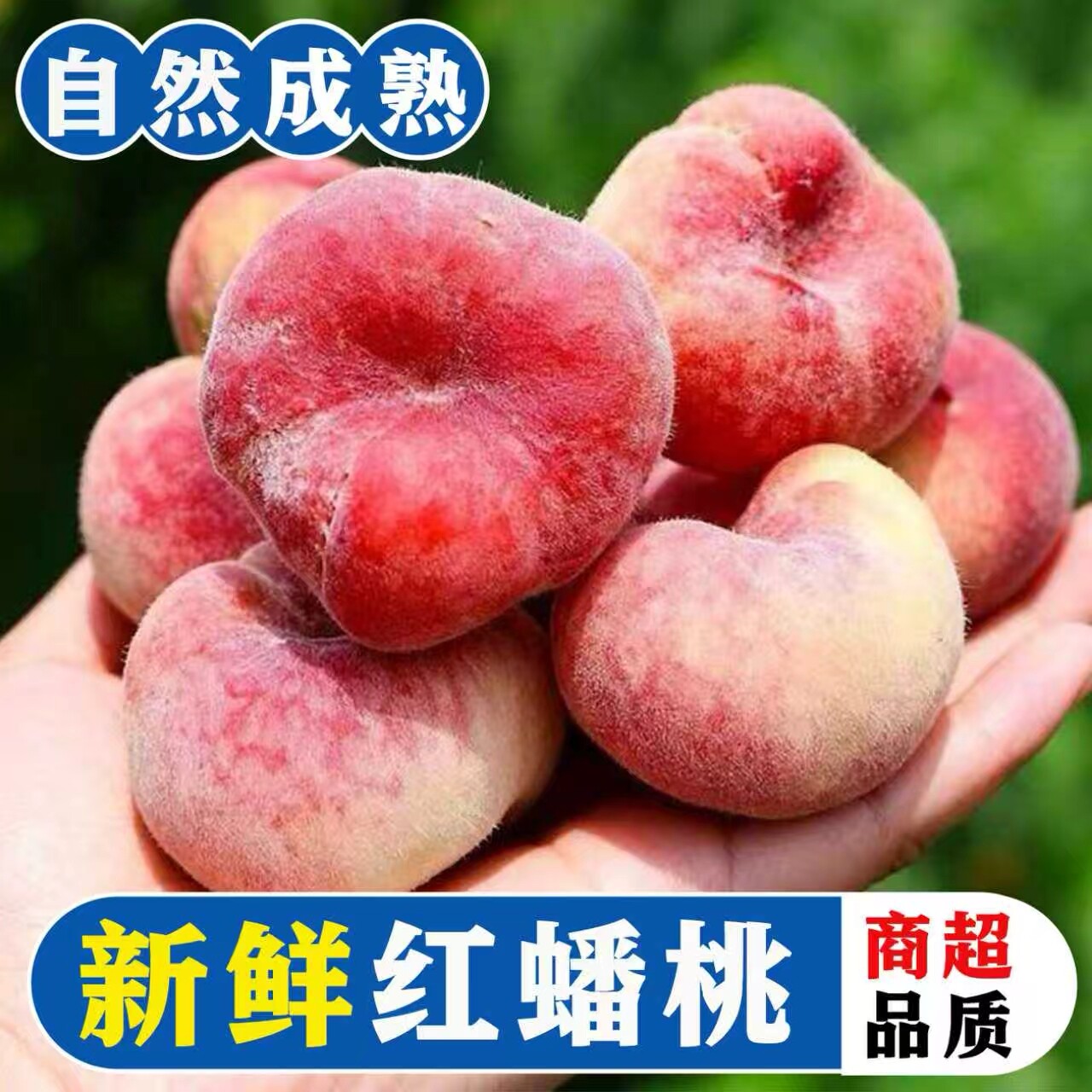 2026好吃的新鲜水果、蒙阴红毛蟠
