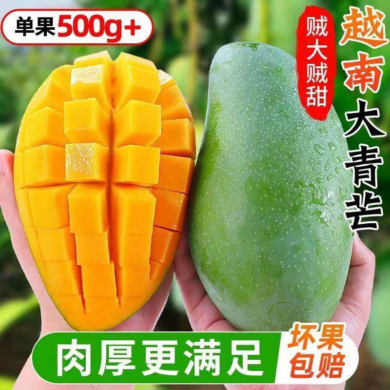 正宗越南大青芒新鲜应季水果果大果热带孕妇水果现摘黄金芒果新鲜