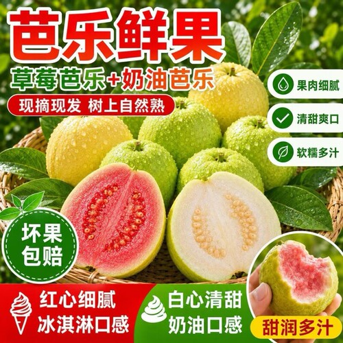 红白双拼芭乐广西番石榴奶油软心糯甜新鲜现摘农家自种红白心大果