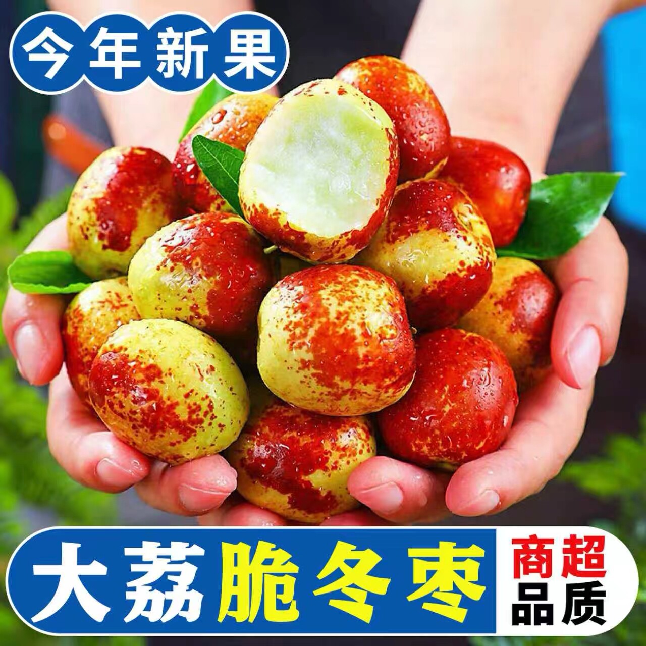 正宗陕西大荔冬枣新鲜大荔冬枣特大脆甜新鲜孕妇水果整箱顺丰包邮