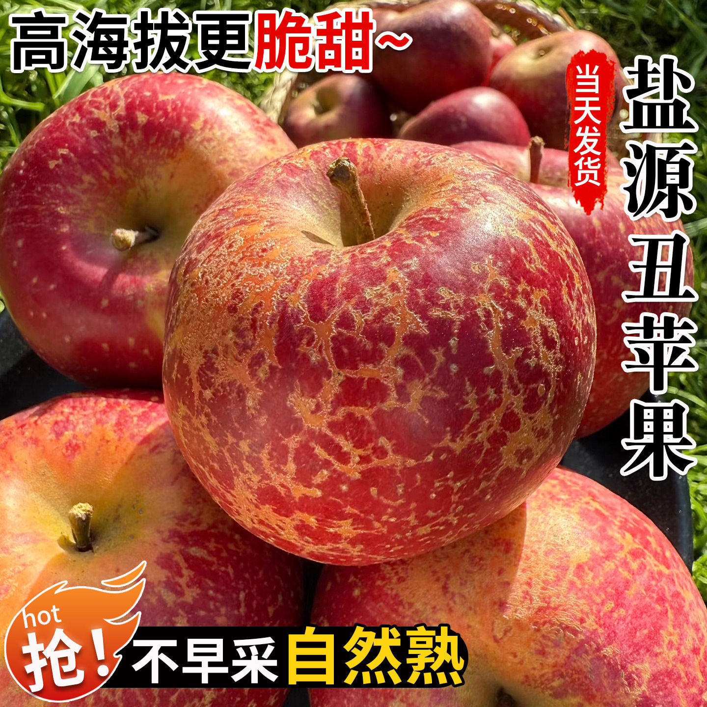 大凉山丑苹果10斤冰糖心苹果新鲜水果红富士精品当季产自四川盐源