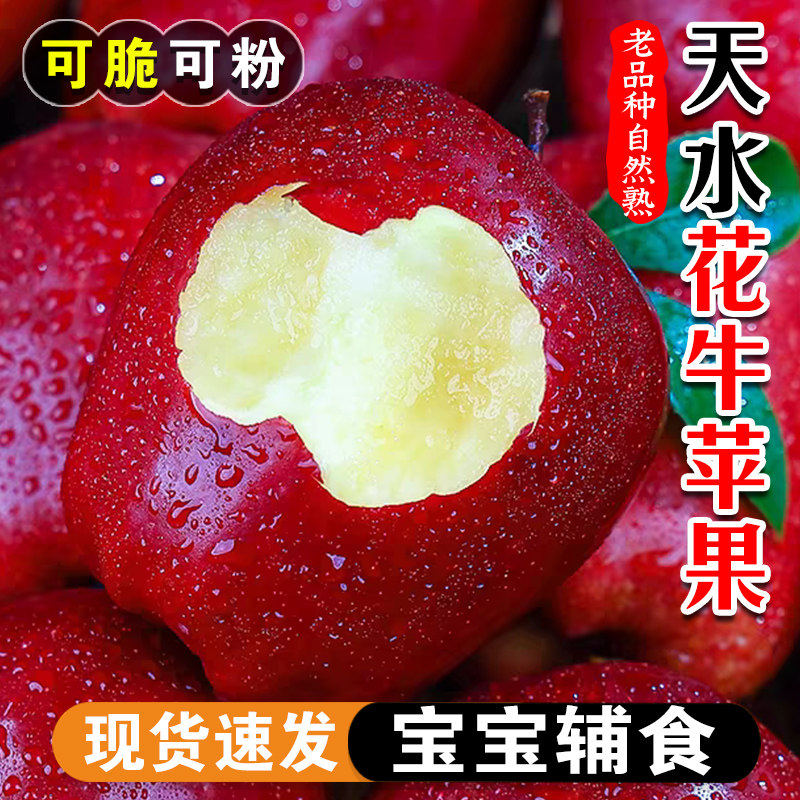 甘肃天水花牛苹果新鲜水果当季正宗平果红蛇粉面丑果孕妇大果包邮