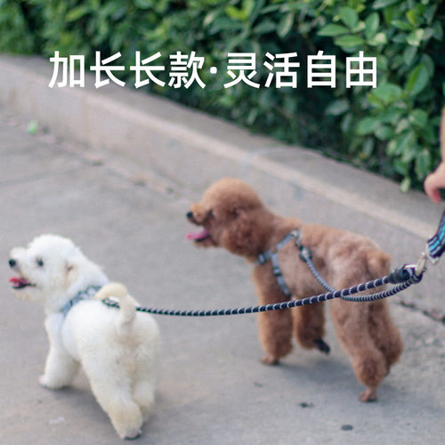 狗狗牵引绳一拖二两双头遛狗绳子