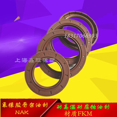 NAK氟胶骨架油封 耐高温耐腐蚀油封TCTC 100*150*13 95*140*13