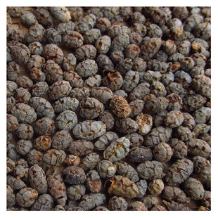 福建泰宁野生砂仁 去壳砂仁米 可打粉 250克76元包邮 2025新货