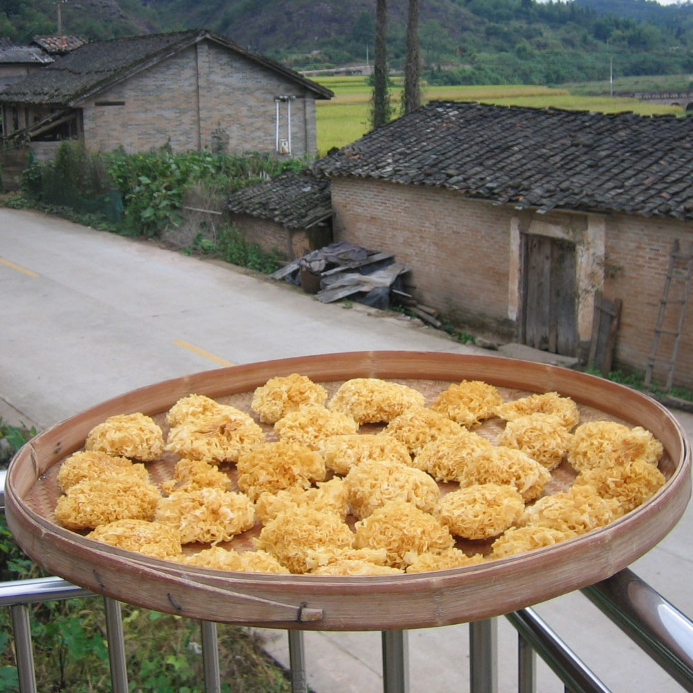 农家银耳 250克 白木耳非丑耳 大朵 莲子银耳羹